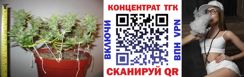 Купить  Северобайкальск  ТГК концентрат 